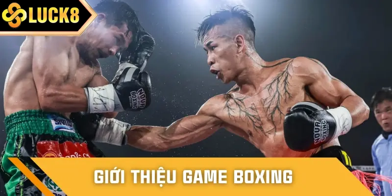Giải thích chi tiết về bộ môn cá cược boxing