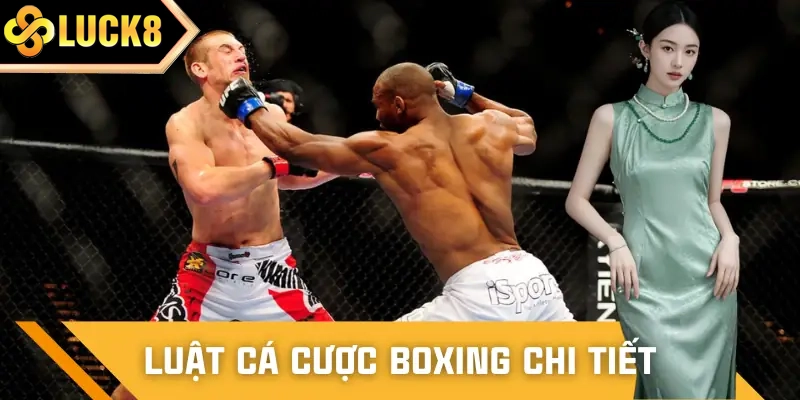 Quy định cá cược boxing chi tiết tại nhà cái uy tín