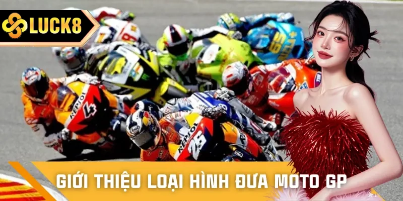 Giới thiệu về hình thức cá cược đua moto GP