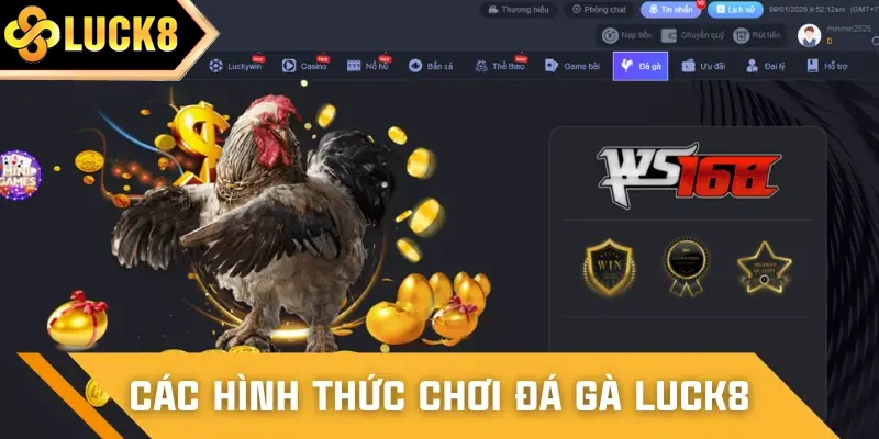 Các loại hình cá cược một trận đá gà LUCK8