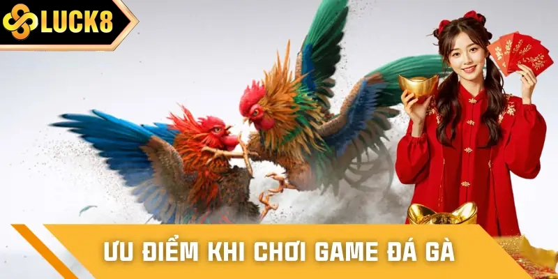 Ưu điểm đặc biệt khi chơi đá gà LUCK8