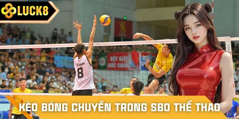 Cập nhật đầy đủ kèo bóng chuyền
